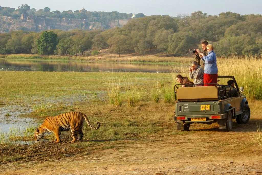 visitors-enjoying-tiger-safari-in-ranthambore-national-park-1024x683