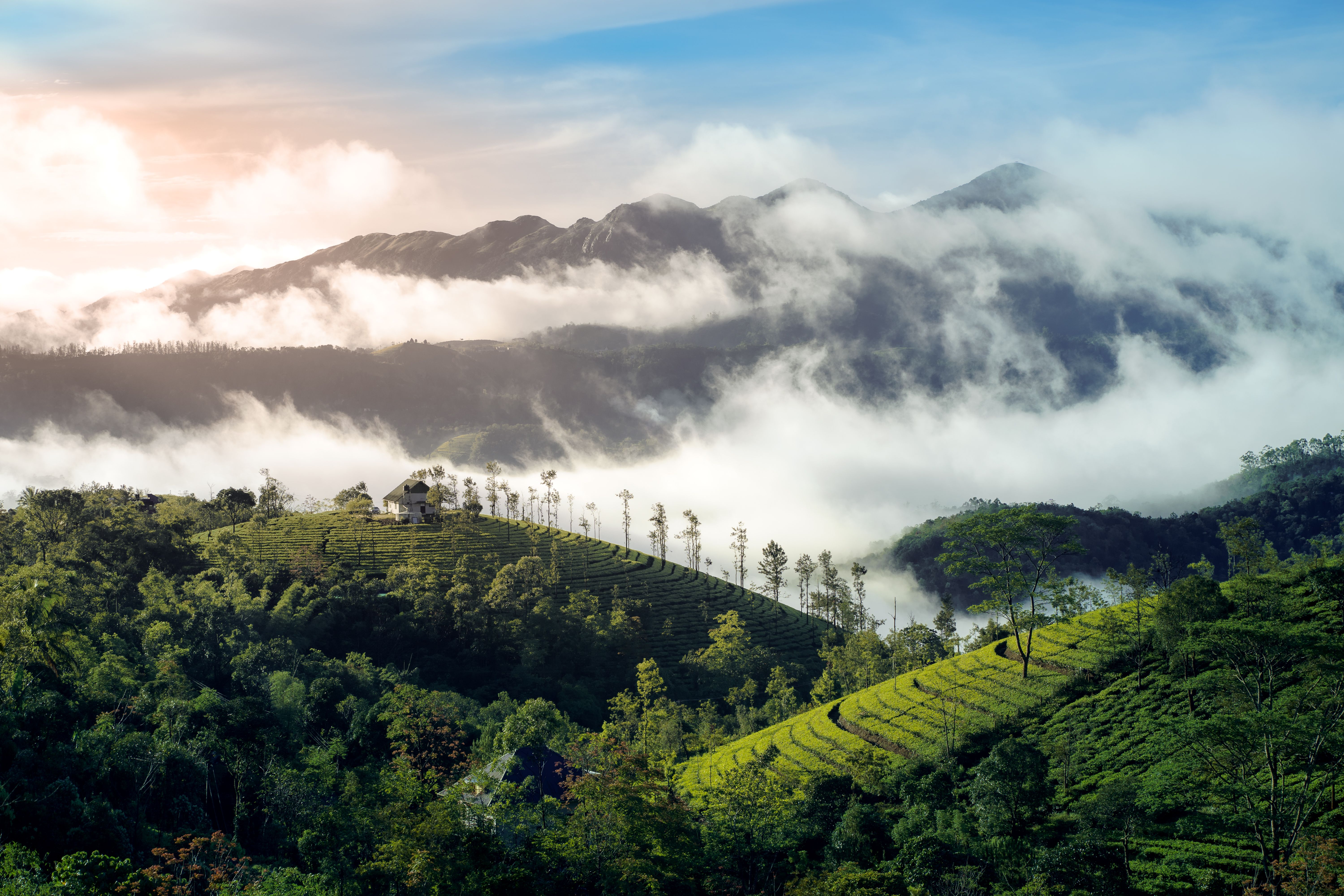 Best Hill Stations in India to Visit
